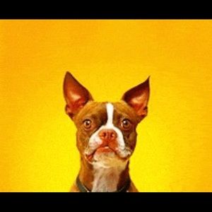 Meet your Posher, Eunise